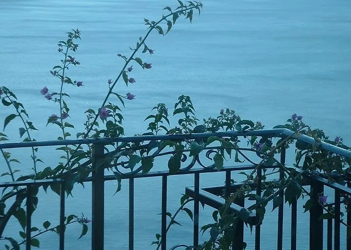 Il Giardino Dei Limoni