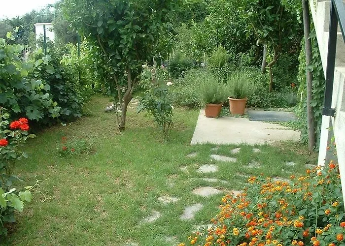 Il Giardino Dei Limoni