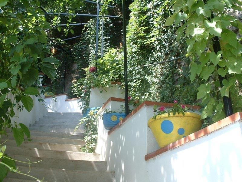 Il Giardino Dei Limoni *